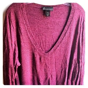 Lane Bryant Vneck sweater 18/20